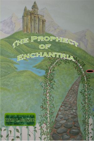 Cover of the book The Prophecy of Enchantria by Karl-Heinz Brodbeck