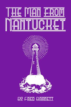 Cover of the book The Man from Nantucket by Janette Davies