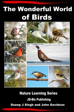 Book cover of The Wonderful World of Birds: How to Make Friends With Our Feathered Friends