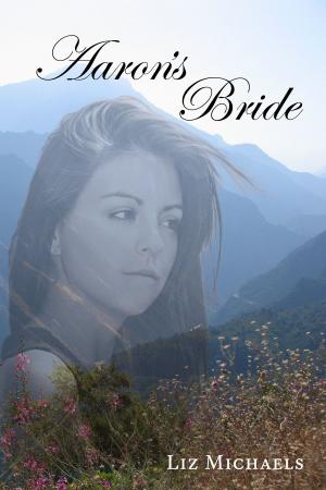 Cover of the book Aaron's Bride by Carey Burns