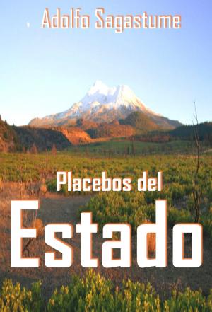 Cover of the book Placebos del Estado by Adolfo Sagastume