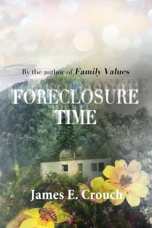 Cover of the book Foreclosure Time by Phyllis Irene Radford