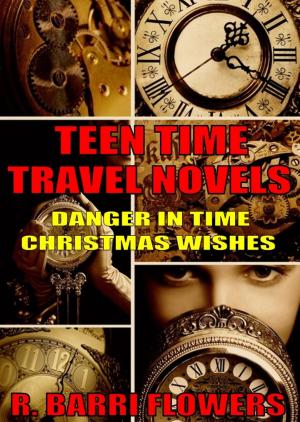 Book cover of Teen Time Travel Novels 2-Book Bundle: Danger in Time and Christmas Wishes