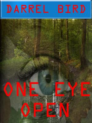 Cover of the book One Eye Open by Darrel Bird