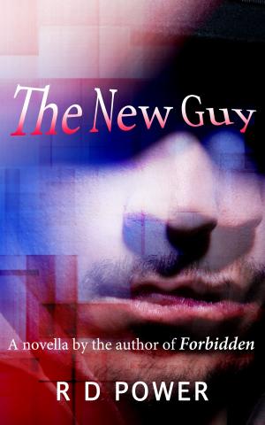 Cover of the book The New Guy by Christopher Charman