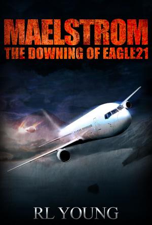 Cover of the book Maelstrom: The Downing of Eagle21 by Jen Blood