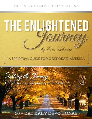 Cover of the book The Enlightened Journey by Dayton Ward, Kevin Dilmore
