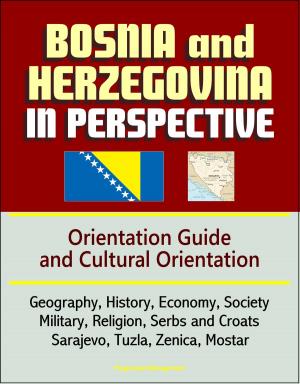 bigCover of the book Bosnia and Herzegovina in Perspective: Orientation Guide and Cultural Orientation: Geography, History, Economy, Society, Military, Religion, Serbs and Croats, Sarajevo, Tuzla, Zenica, Mostar by 