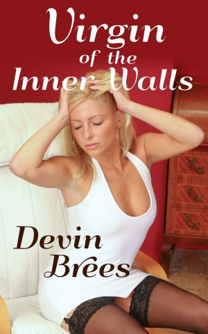 Cover of Virgin of the Inner Walls