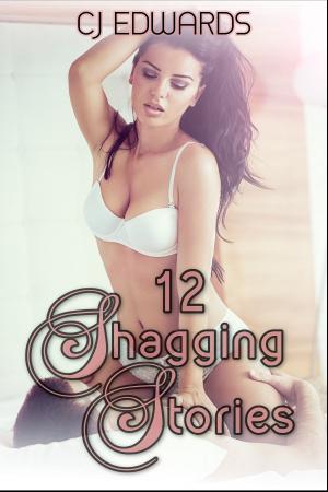 Cover of the book 12 Shagging Stories by C J Edwards