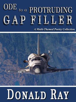 bigCover of the book Ode To A Protruding Gap Filler: A Multi-Themed Poetry Collection by 