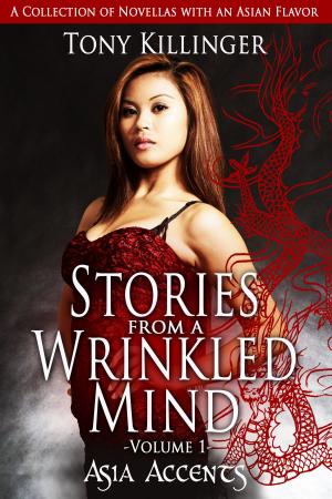 Cover of the book Stories From A Wrinkled Mind: Volume One by Judy Alter