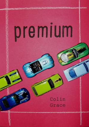 Cover of the book Premium by Sharon Woods Hopkins