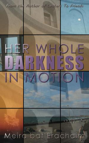Cover of the book Her Whole Darkness In Motion by Maggie Shayne