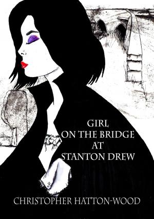 Book cover of Girl on the bridge at Stanton Drew