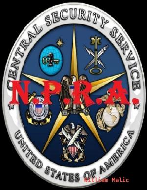Cover of the book The N. P. R. A. by Craig R Key