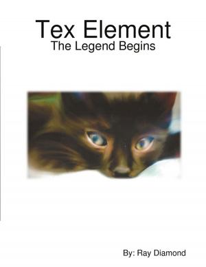 Cover of the book Tex Element by Robert Crane