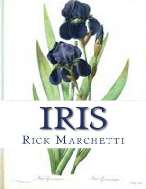 Cover of the book Iris by Abdelkarim Rahmane