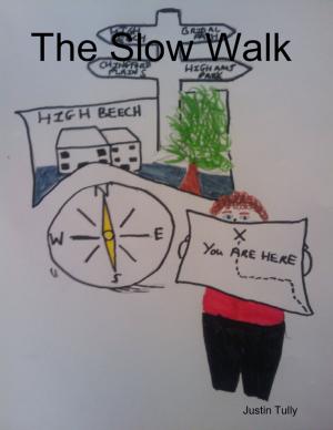 Cover of the book The Slow Walk by Luigi Savagnone