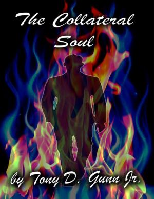 Cover of the book The Collateral Soul by Ariana Burgan