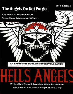 Cover of the book The Angels Do Not Forget: 2nd Edition by Allan Holm
