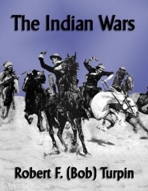 Book cover of The Indian Wars
