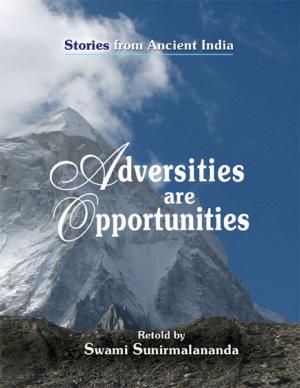 Cover of the book Adversities Are Opportunities - Stories from Ancient India by Douglas Christian Larsen