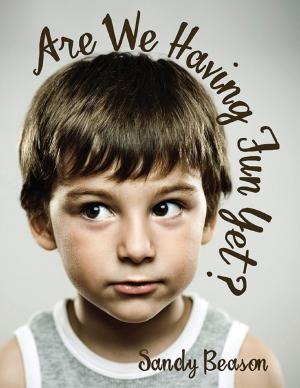 Book cover of Are We Having Fun Yet?