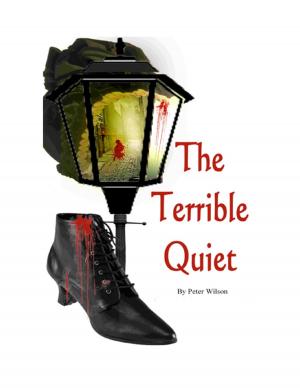 Book cover of The Terrible Quiet