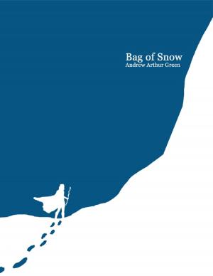 Cover of the book Bag of Snow by Dr S.P. Bhagat