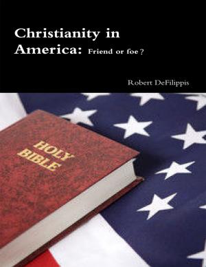 Cover of the book Christianity In America: Friend or Foe? by Carmenica Diaz