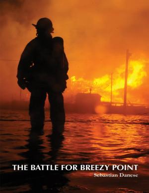 Cover of the book The Battle for Breezy Point by Clifford Bishop ACS