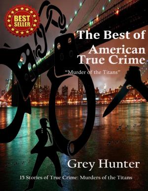 Cover of the book The Best of American True Crime by Alison Laura Goodman