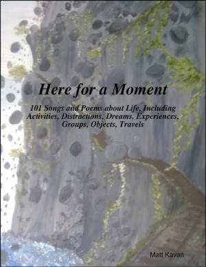 Cover of the book Here for a Moment by Robert Ellis