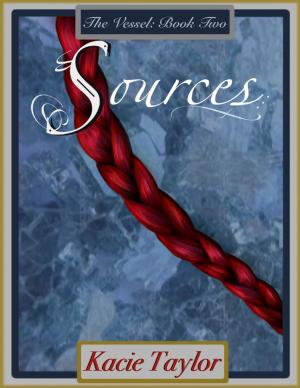 Cover of the book Sources: The Vessel Book Two by Michael DeSario