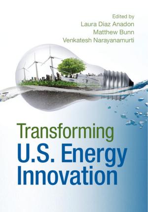 Cover of the book Transforming US Energy Innovation by Ronald Schleifer