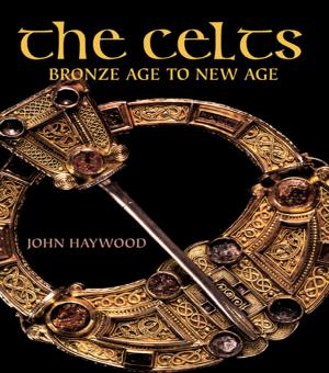 Book cover of The Celts