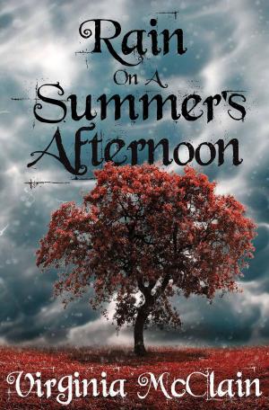 Cover of the book Rain on a Summer's Afternoon by Martin R. Judge