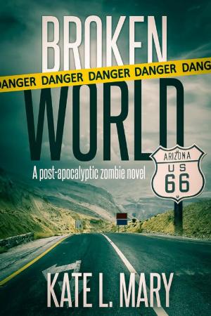 Cover of the book Broken World by Rudy Rucker
