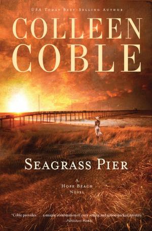 Cover of the book Seagrass Pier by A.R. Miller