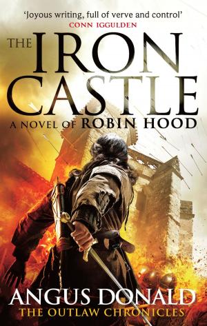 Cover of the book The Iron Castle by Ashley York