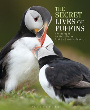 Cover of the book The Secret Lives of Puffins by Richard Brinsley Sheridan