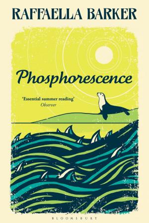 Cover of the book Phosphorescence by Dr Kolawole Olaniyan