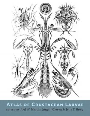 Cover of the book Atlas of Crustacean Larvae by Julie K. Silver