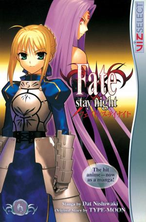 Cover of the book Fate/stay night, Vol. 6 by Haruichi  Furudate