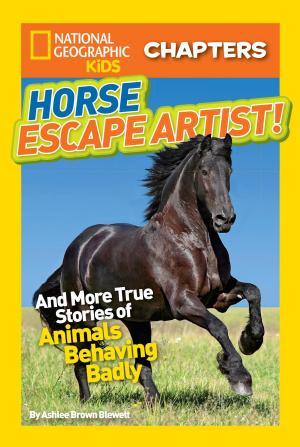 Cover of the book National Geographic Kids Chapters: Horse Escape Artist by Winston Groom
