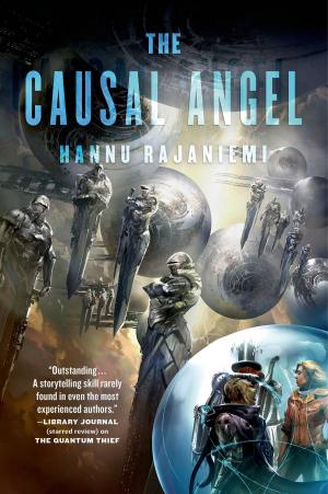 Cover of the book The Causal Angel by Michael Cassutt