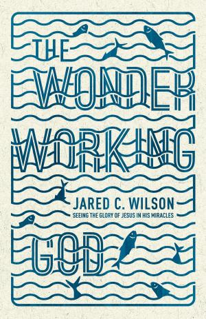 bigCover of the book The Wonder-Working God by 