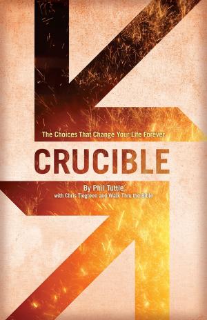 Cover of the book Crucible by David Alan Black