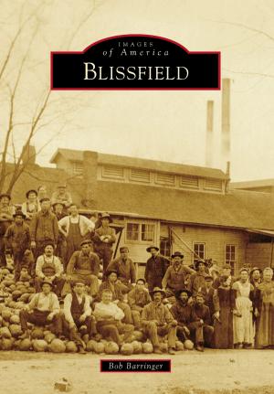 Cover of the book Blissfield by Robert A. Packer